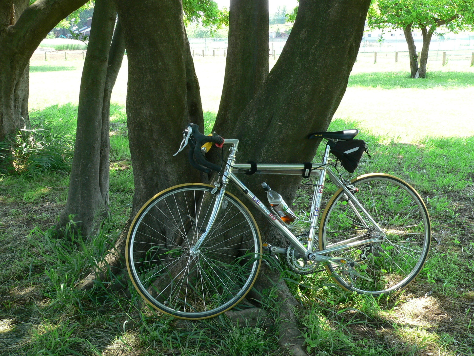カタログ・ギフトで注文した折り畳み自転車が届いた: 鰍工房 手作り