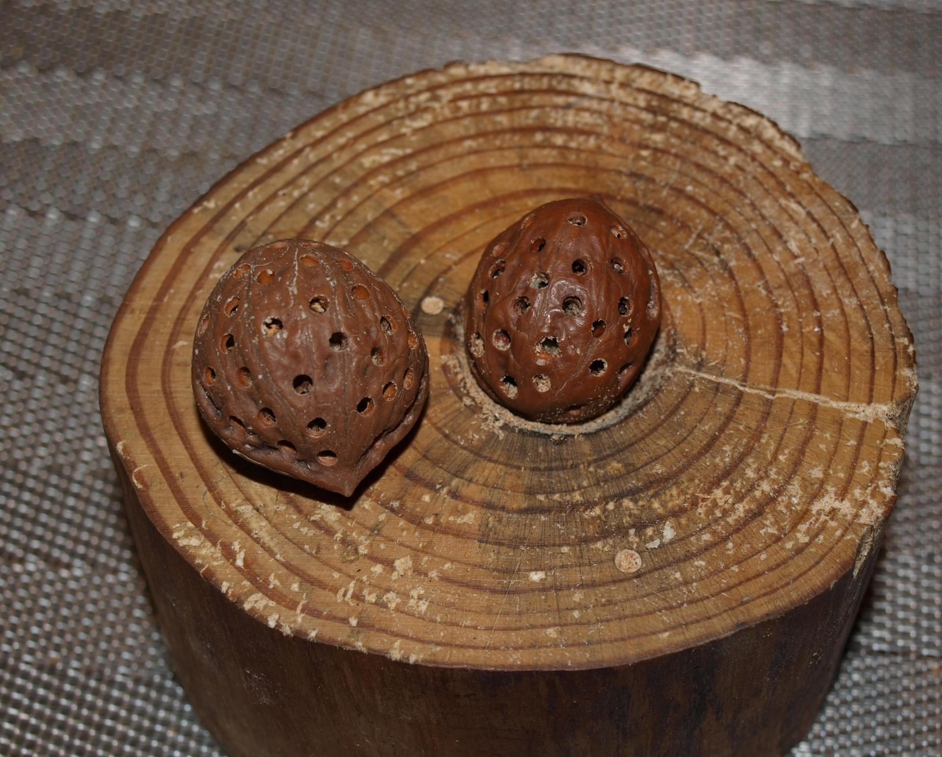 久し振りに透かし胡桃の根付けを作る（エランズ・マーケット）: 鰍工房